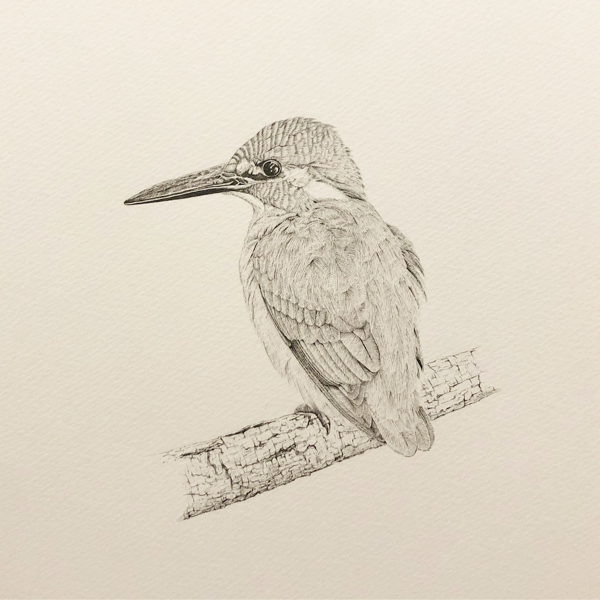 ペン画による繊細なモノクロのイラストを制作します 人、動物、植物、風景、物・・・あなたの大切を一枚の絵に。 イメージ6