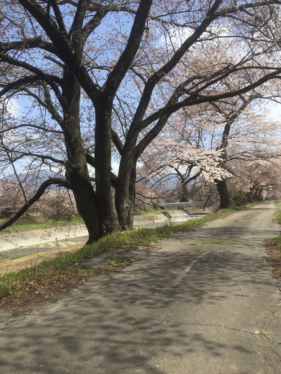 貴方のお話しをなんでも♪ 　すべてお聞きします 心のうちにある悩み事、愚痴などなんでも聞きます イメージ1
