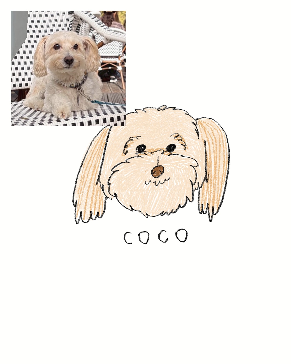 ゆる可愛い動物のイラストを描きます ペットのゆる可愛いイラストを描きます。 イメージ7