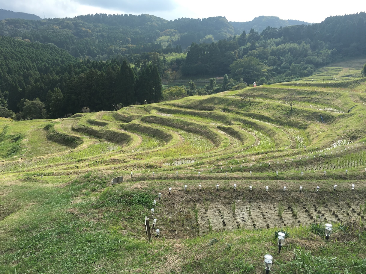 悩みに対してそっと寄り添います 悩み、愚痴、聞いて欲しいこと。 イメージ1