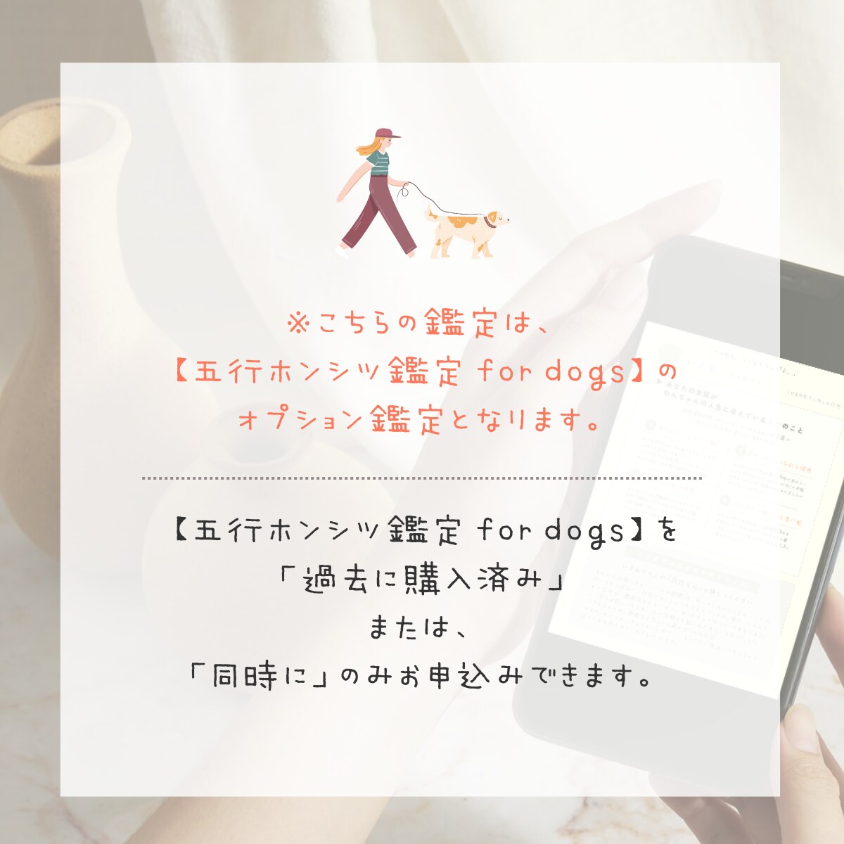愛犬が、あなたのそばにいる理由をひも解きます 五行ホンシツ鑑定と併せて、ふたりの特別なつながりをお届け イメージ7