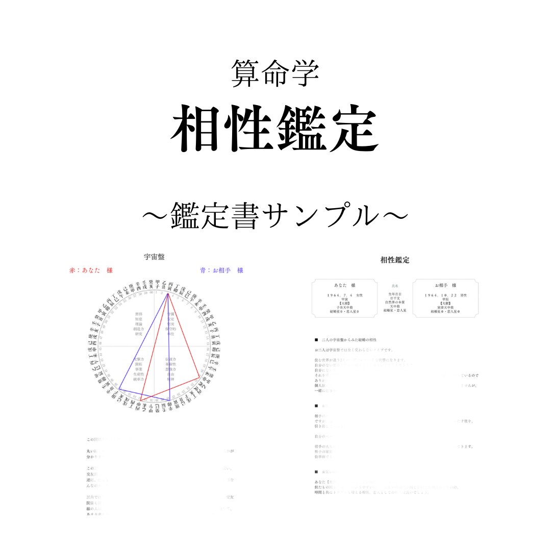 ワンコイン鑑定！気になるあの人との相性をみます 恋愛・結婚・夫婦間の相性が算命学で丸わかり！ イメージ5