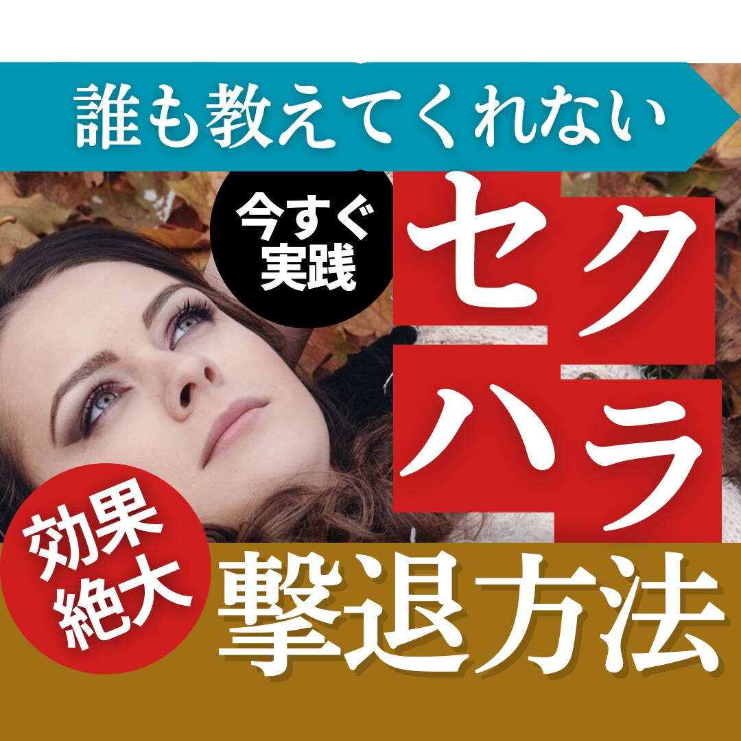 目から鱗！セクハラに悩んでいる人に対処法を教えます 簡単な知識を身につけるだけで法的証拠を集められるノウハウ集！ イメージ1