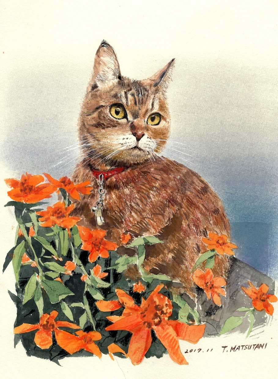 大切なペットの絵を写真から手描きで描きます お気に入りの写真があれば1匹から描きます。 イメージ3