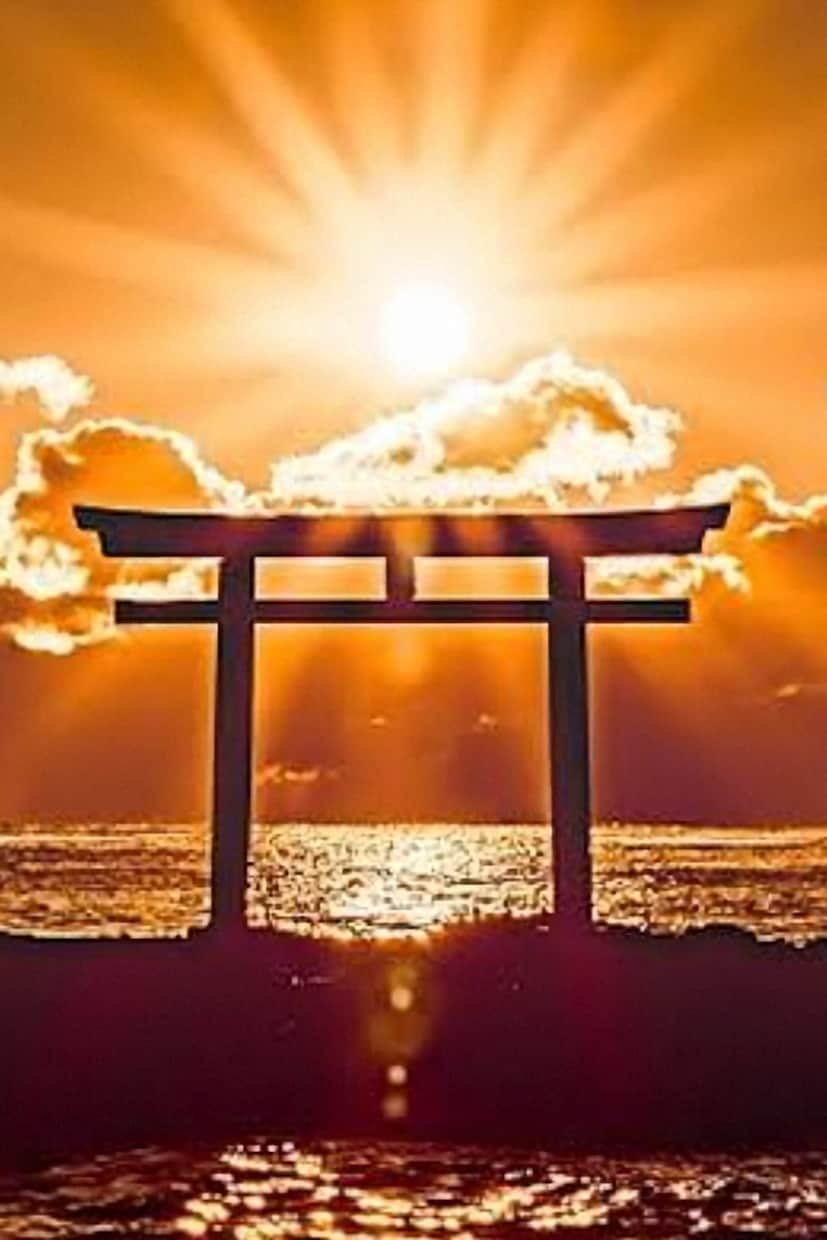 救急ﾅｰｽが霊視霊感タロットで全ての悩み解決します 不思議なくらいタロットは当たります！ イメージ9