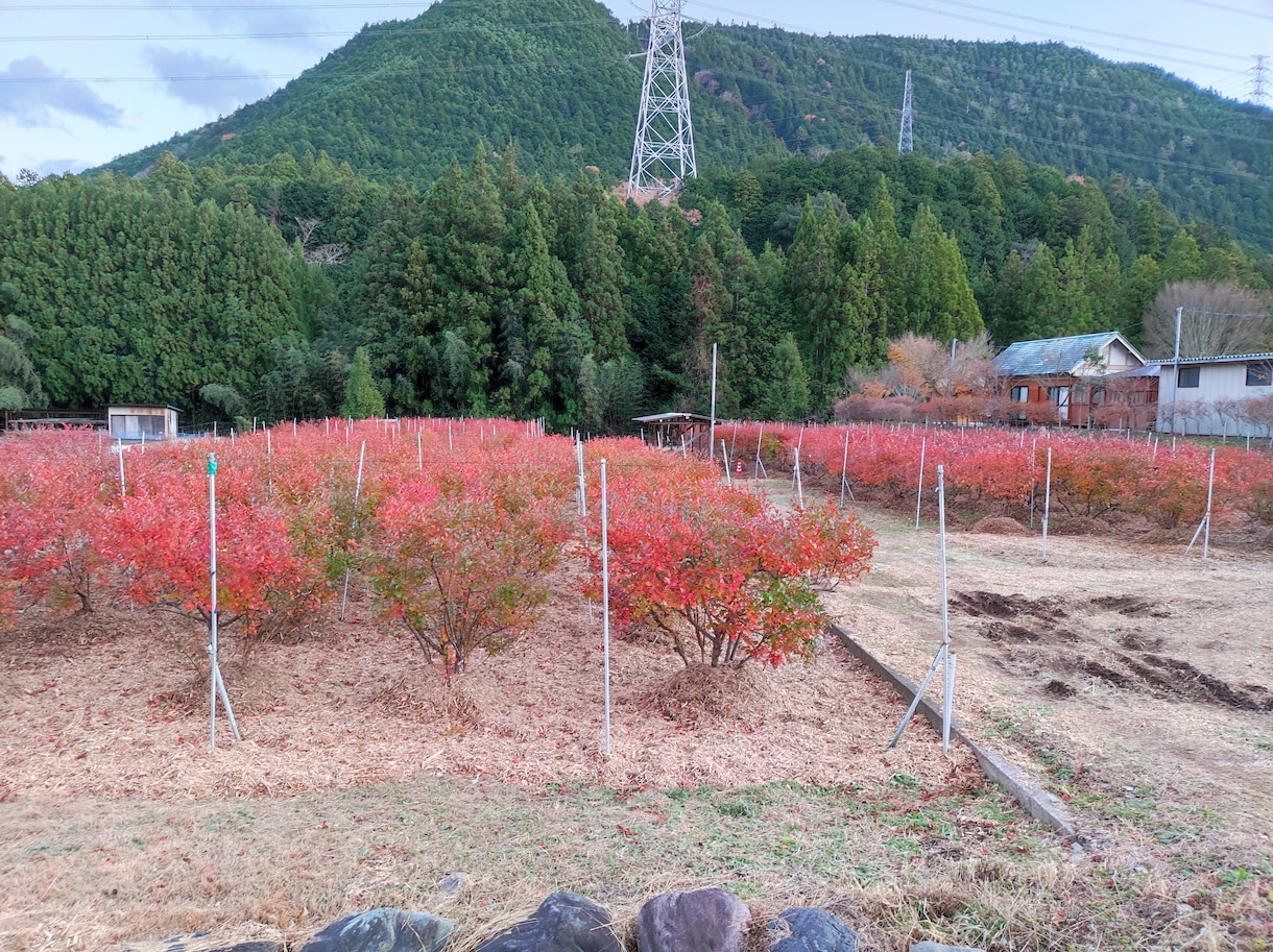 限界集落移住22年｜田舎暮らし相談ます 移住の不安・田舎生活の悩み、話してみませんか イメージ2