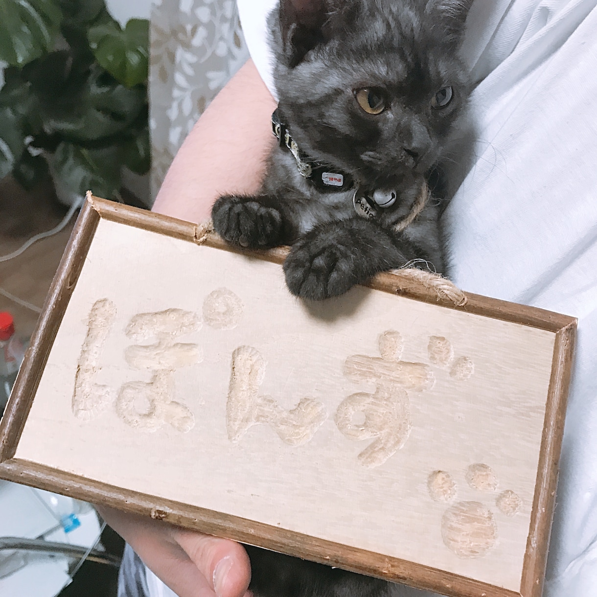 お悩み、お話、愚痴、なんでも聞きます とにかく聞いてほしいという方向け イメージ1