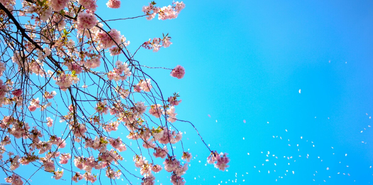 どん底から這い上がるための秘策★占いもします 解決の糸口を見つけます★新しい、幸せな人生にする為に★ イメージ6