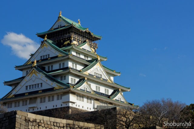 大阪の旅行プロデュースします 大阪旅行が初めての方におすすめ！ イメージ3