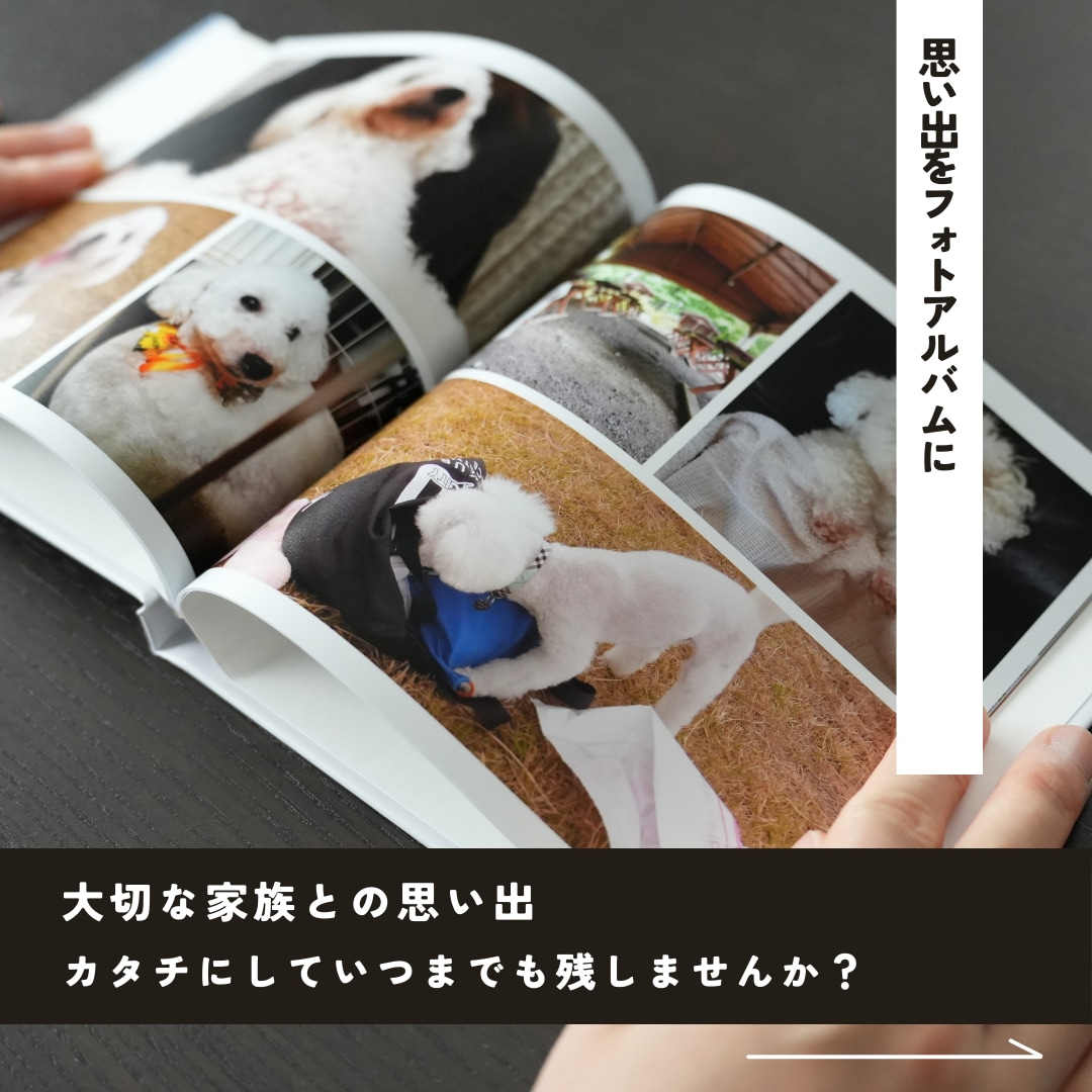 ペットの思い出が詰まったフォトブックを制作します 撮りだめた写真から一冊のフォトブックをお作りします！ イメージ2