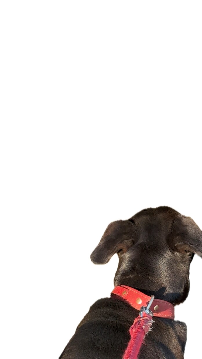 歌詞動画を作成します 内容についてはなんでもご相談ください。 イメージ1