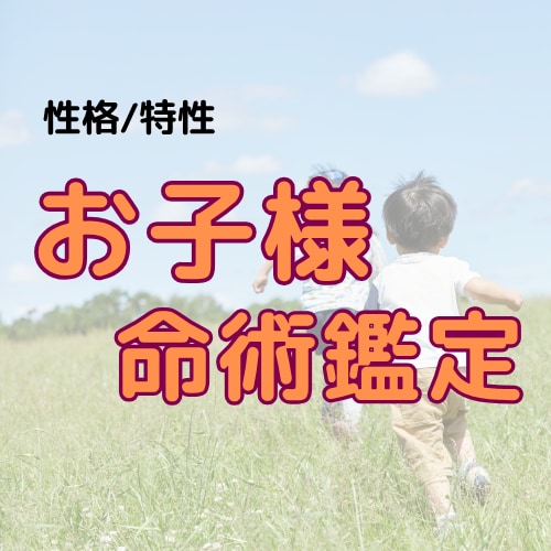 お子様の性格や運勢、家族との相性占います お子さんを深く理解して子育ての悩みを解消.☆* イメージ1