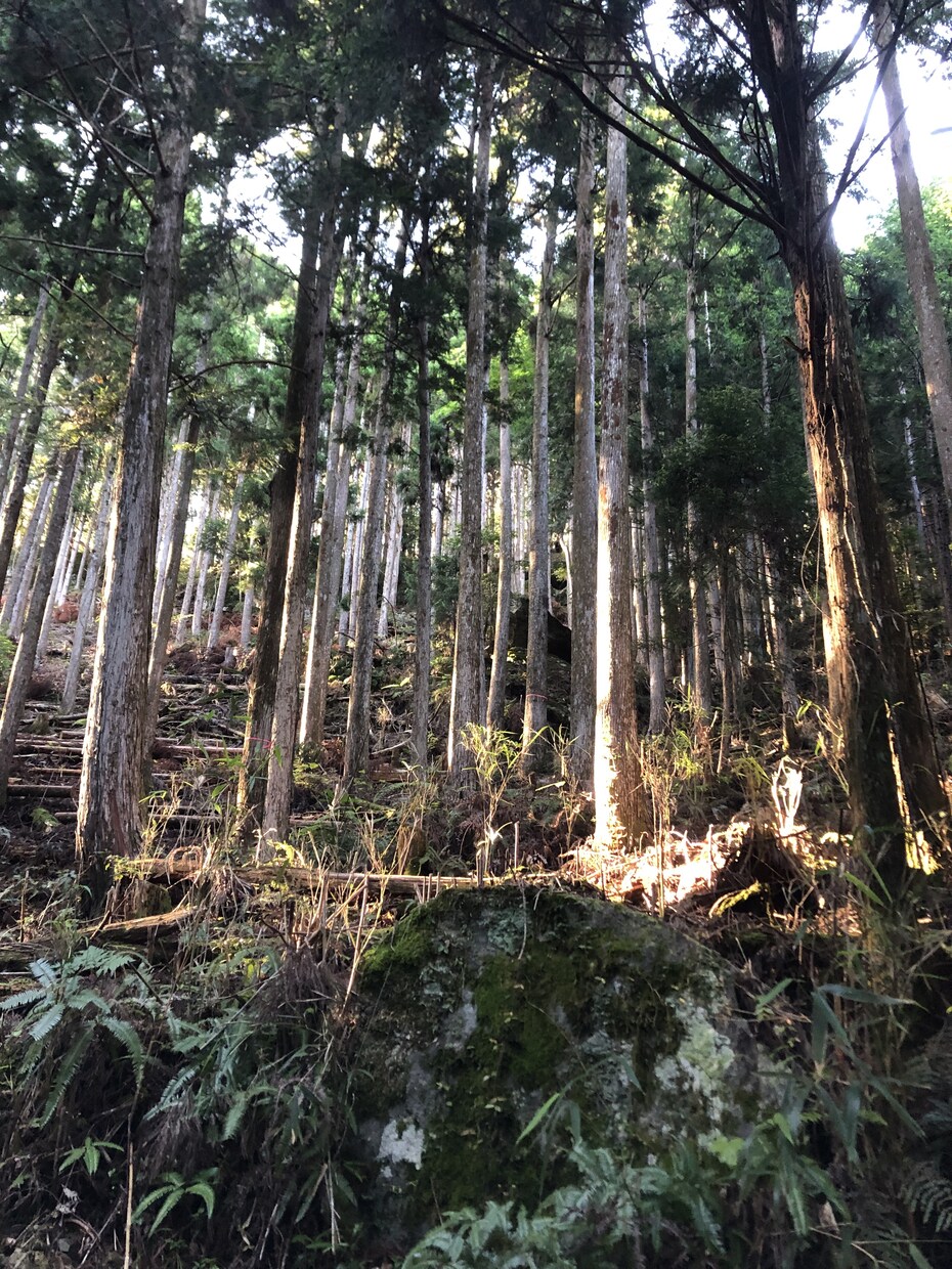 生まれた時の愛を思い出すヒーリングを流します バースデーヒーリング   愛しかなかったあなたに出会う イメージ4