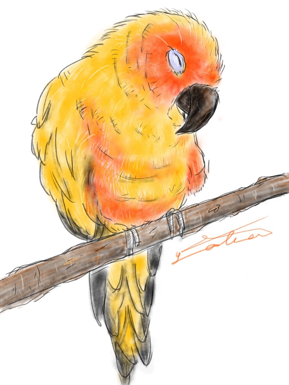 最低価格でいろんな似顔絵を描きます 大切なペット、ウェディングボードなど イメージ6