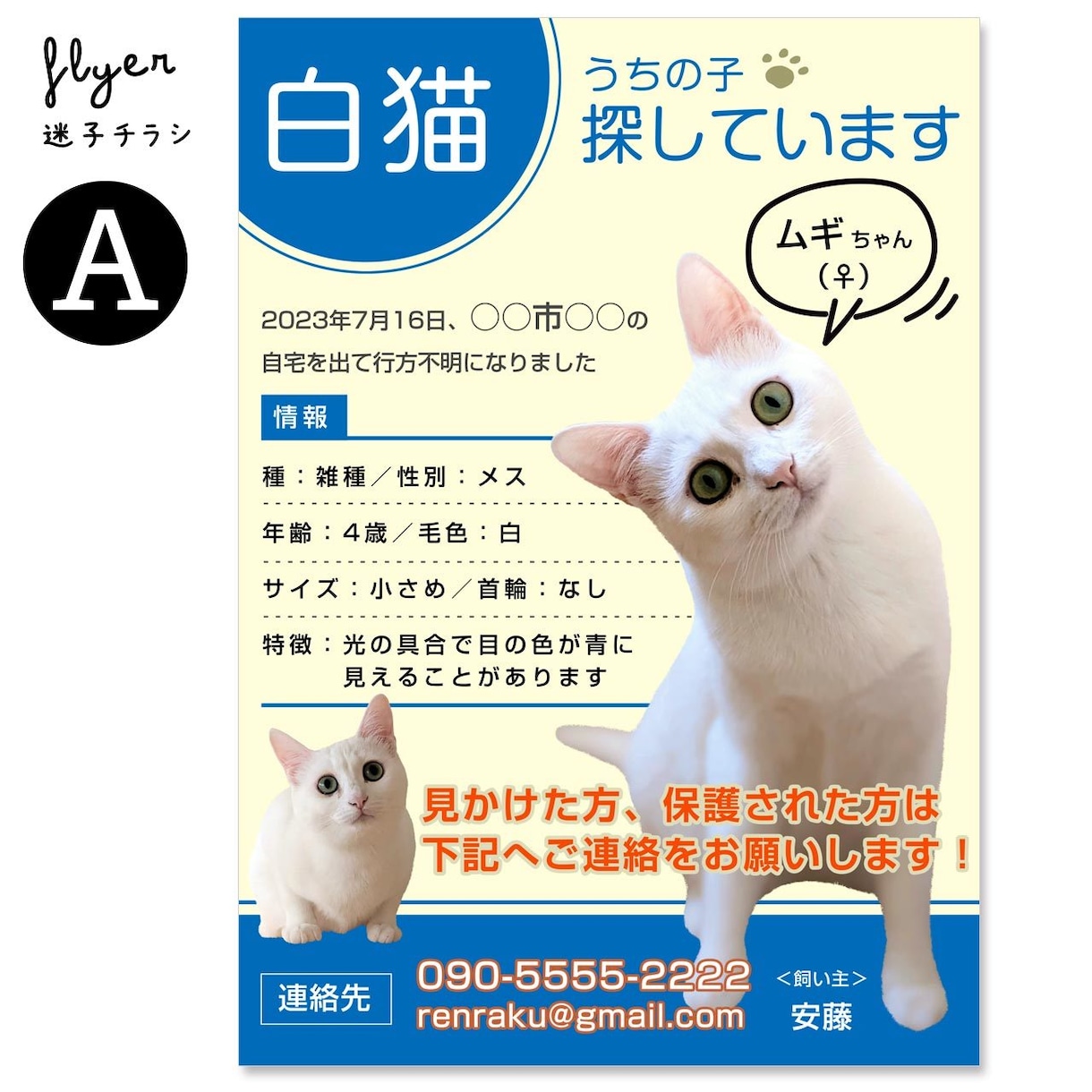 迷子チラシ（猫･犬･鳥など）をお作りします 最愛のお子さんを目立つようにデザインします イメージ4
