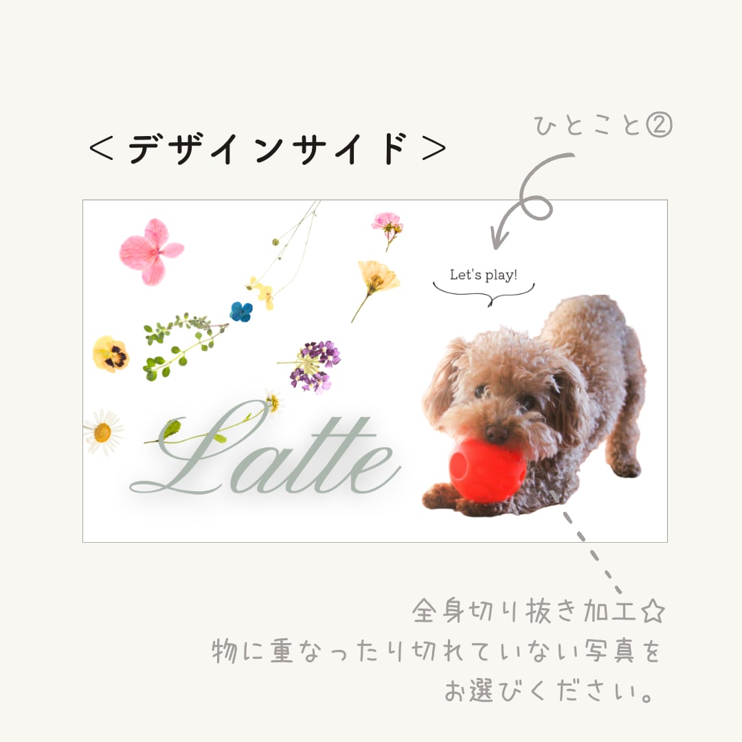 フラワーリース柄♡ペット名刺デザインします QRコード掲載可◎犬友・猫友になれちゃう♩ イメージ3