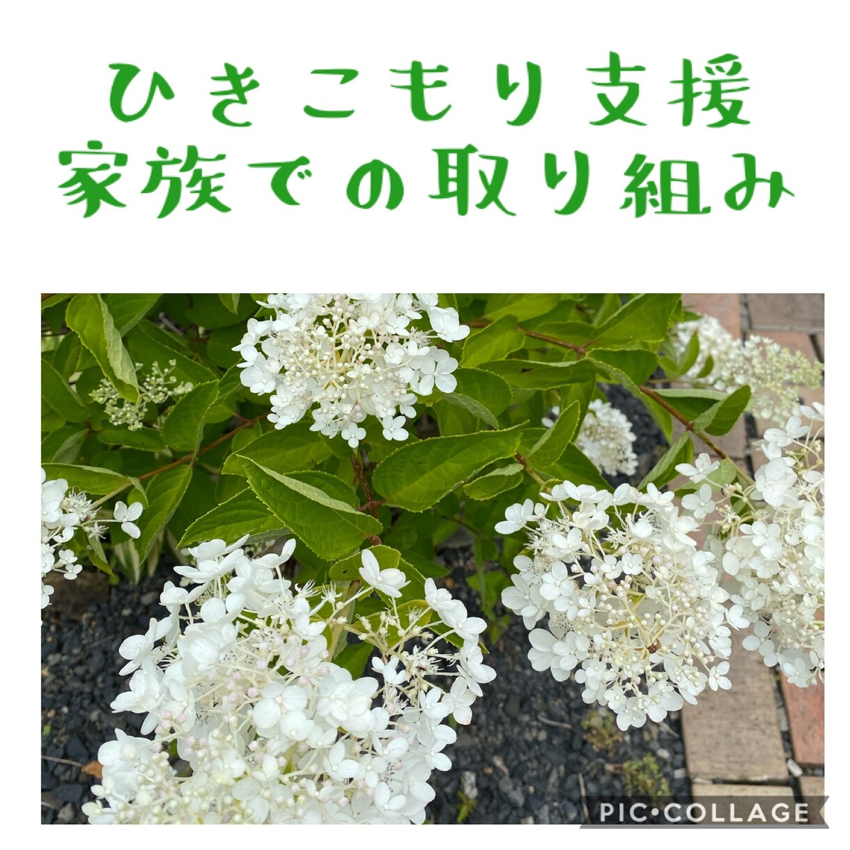 中絶後の心のケア、供養の仕方などアドバイスします 中絶された方、過去の中絶で苦しんでいる方のお力になります。 イメージ10