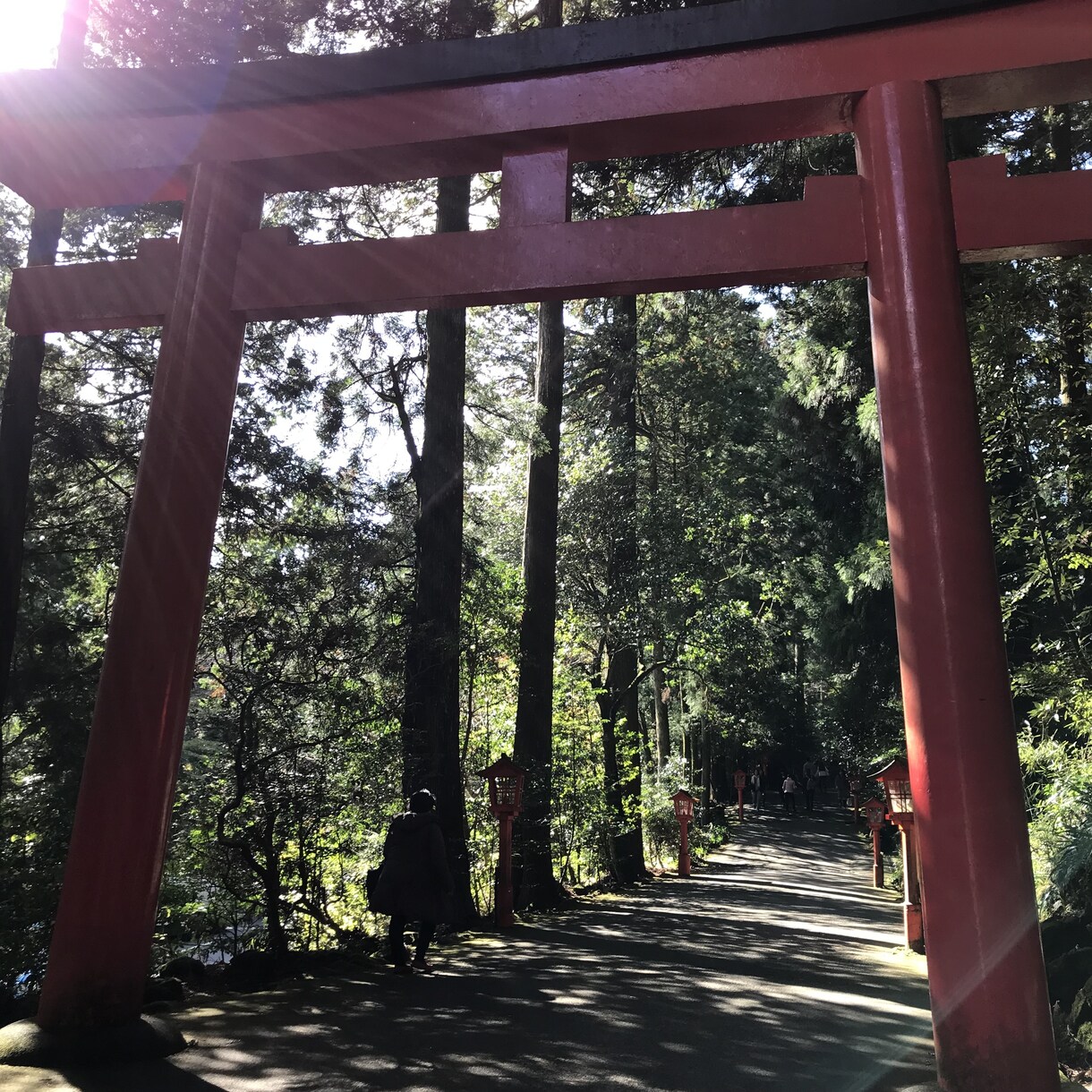 良縁の最強神社！箱根神社・九頭龍神社代理祈願します 白龍神社例大祭祈願☆事業運・良縁・家庭運に効果あり！ イメージ8