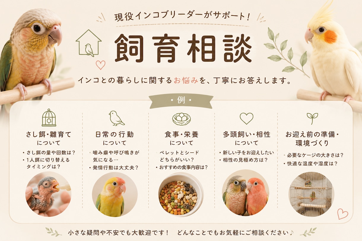 現役エキゾチックブリーダーが飼育相談に乗りますます どんな小さなお悩みでも、お気軽にご相談ください♪ イメージ1