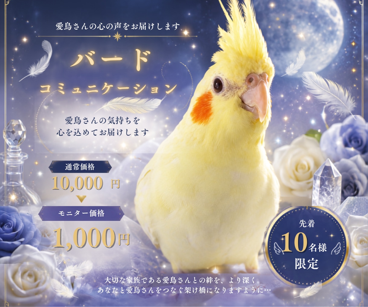 鳥さんの気持ちを丁寧にお伝えします 言葉にならない想いを静かに届けます。 イメージ1
