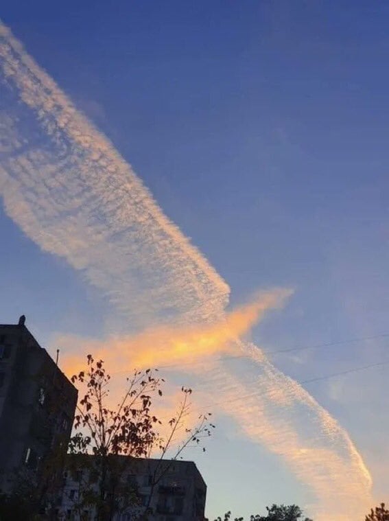 簡単な占い致します お名前生年月日から数秘術+出生時刻と出身地から占星術 イメージ1
