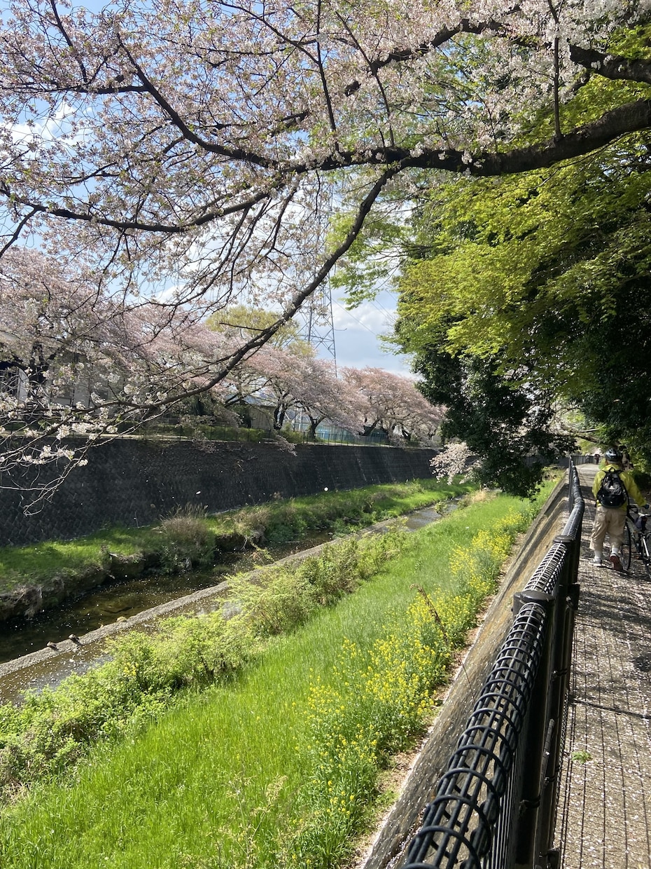 恋愛相談お聞きします 悩みを打ち明けて少しでも楽になっていただきたいです。 イメージ1