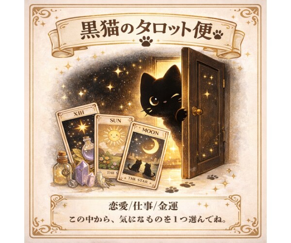 黒猫のタロット便をお届けします この黒猫、あなたのことを少し知っているみたい イメージ1