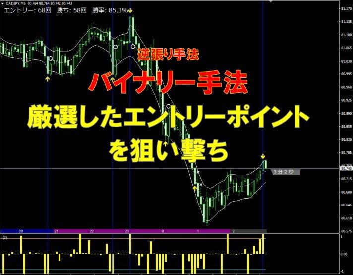 厳選ロジック搭載BOサインツールを提供します シンプルな手法でエントリ―ポイントを狙い撃ち‼ イメージ1