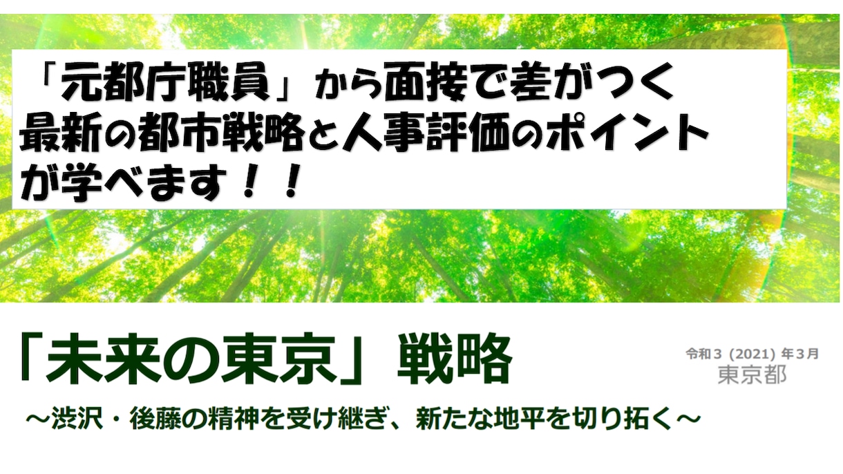 公務員試験に特化したエントリーシート添削します 【元都庁職員】が最新の都市戦略と人事評価のポイントを教えます イメージ2
