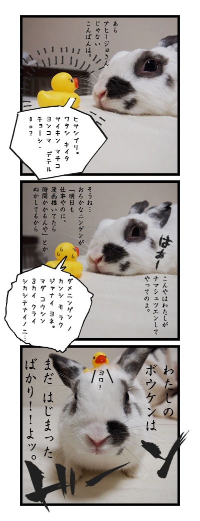 写真から四コマ漫画つくります 【スピード納品】写真の合成で3〜4コマ漫画を作ります。 イメージ2
