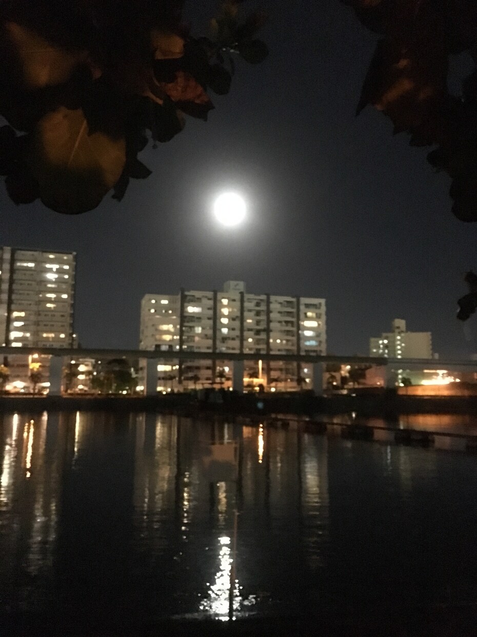 自分をもっと知りたいあなたへ　本質を鑑定します 西洋占星術で性格・仕事適職・人生の目的・才能を鑑定 イメージ3