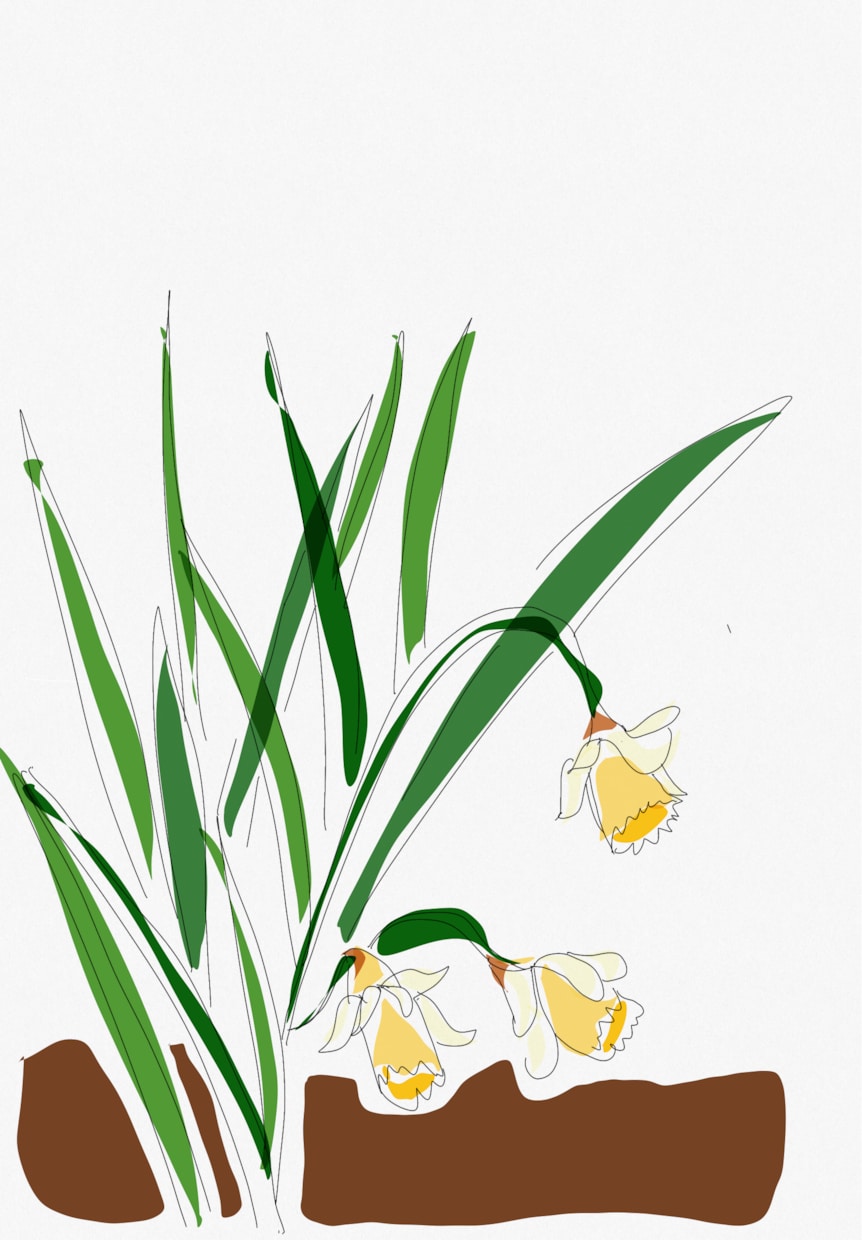 イラスト作成します ご希望のデザインをお聞かせください！ イメージ2