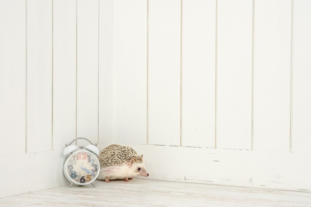 今すぐ話したい！1分でもあなたのために応えます 今すぐ言いたい！聞いて！全力であなたの味方⭐︎何でもどうぞ♪ イメージ4