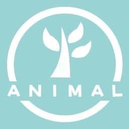 ペット・動物の気持ちを翻訳します オープン記念10名様限定★通常3,000円→2,000円 イメージ1