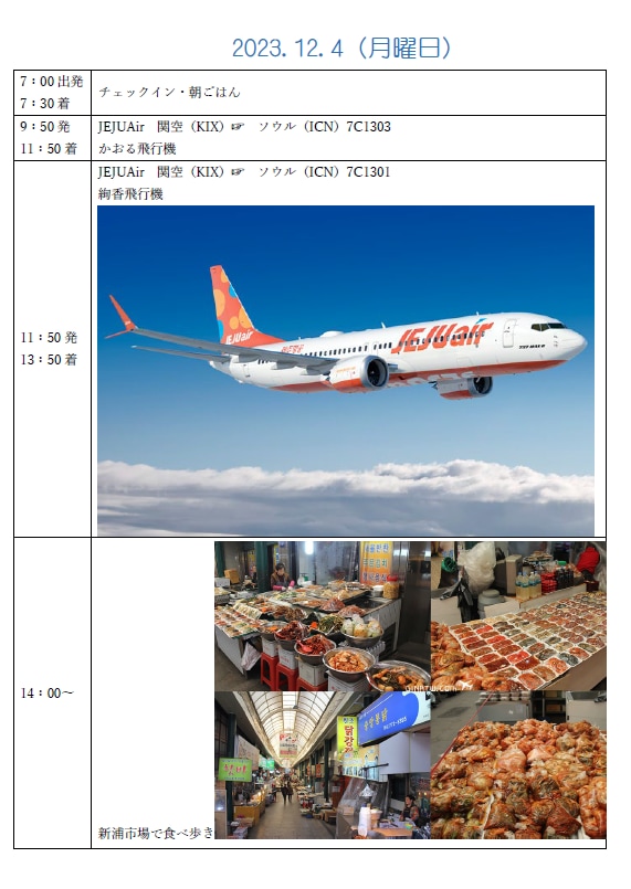 旅行プラン代行！お客様の為の旅行プラン考えます 楽しい・わかりやすく細かい旅行日程しおりプレゼント♪ イメージ2