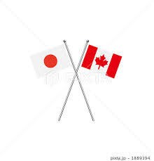 海外生活の疑問や質問！お答えします 日本で生活を続けることが不安に感じていませんか？ イメージ8