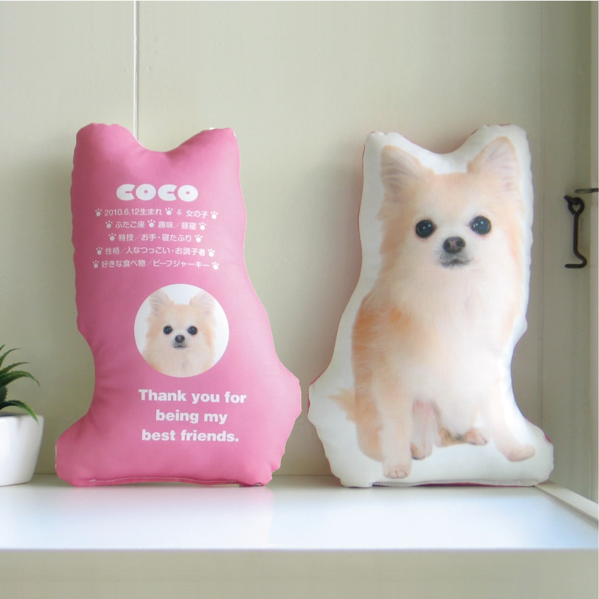 うちの子（犬　猫　ペット）クッションをお作りします ペットの画像を使ったおしゃれなインテリア　メモリアルにも最適 イメージ1