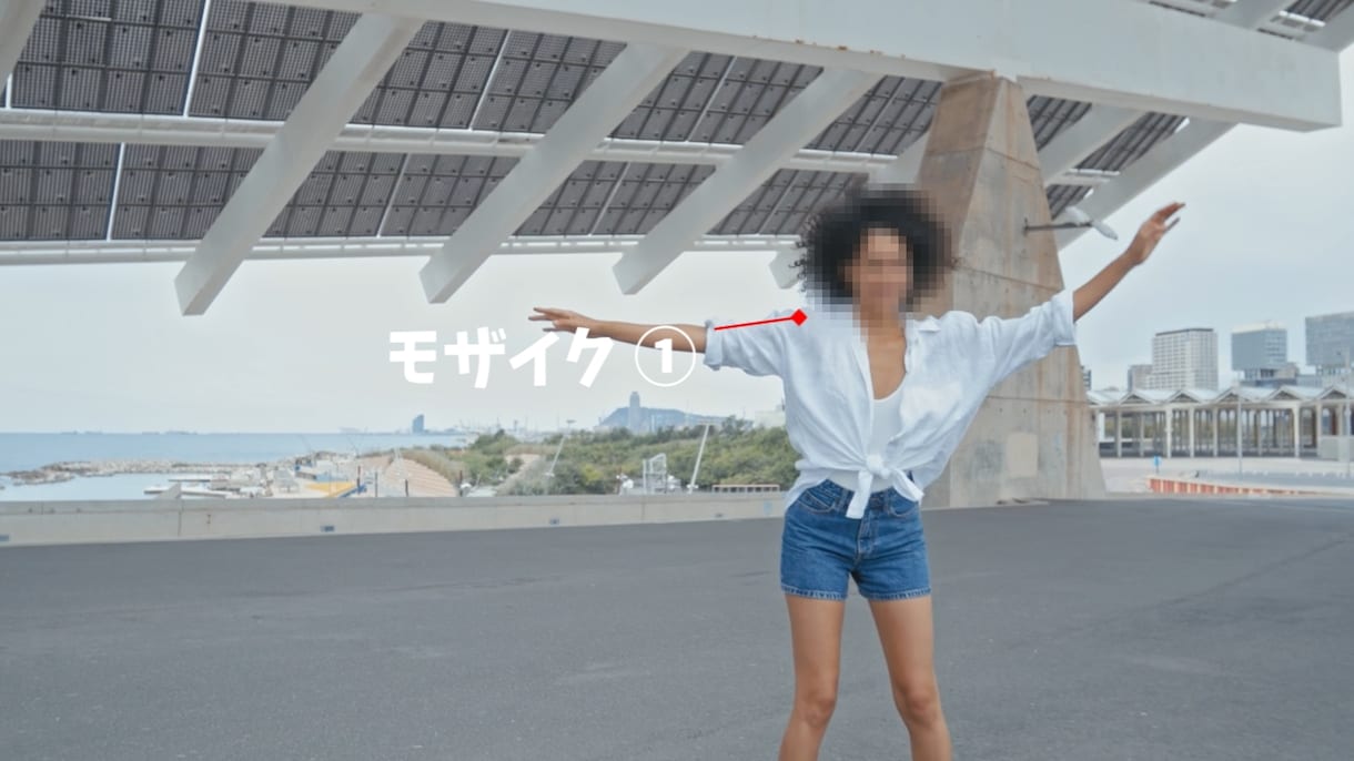 モザイク処理承ります 一度に受注可能な件数が1件のため購入後は専属で対応。 イメージ1