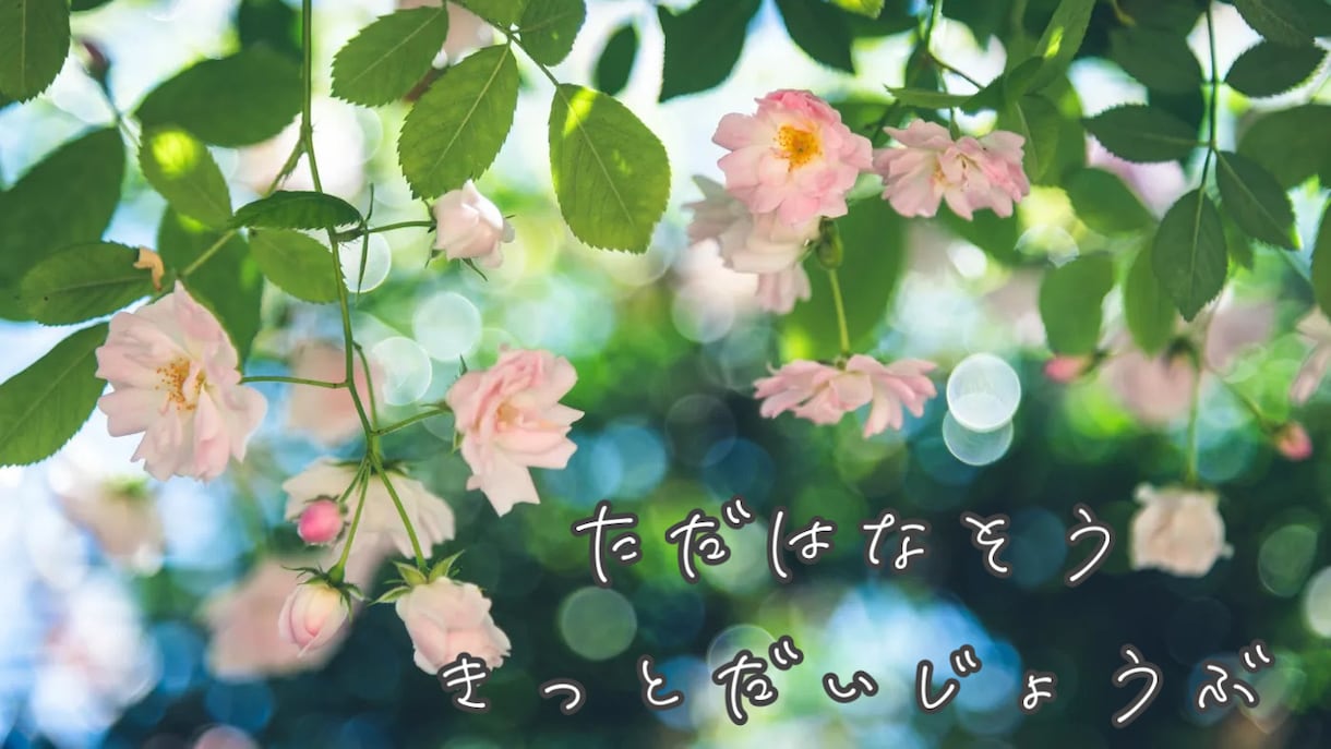 気軽にどうぞ♪ ５分だけ&単発OK＊お話聞きます ＊こころの部屋＊秘密厳守まずはお気軽にメッセージください♪ イメージ3