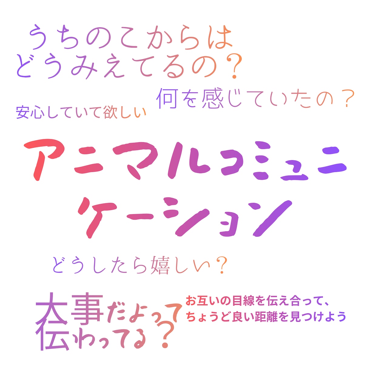 アニマルコミュニケーションを行います 本当はどんな気持ち？何を見ているの？初めて聞いてみたい方へ イメージ1