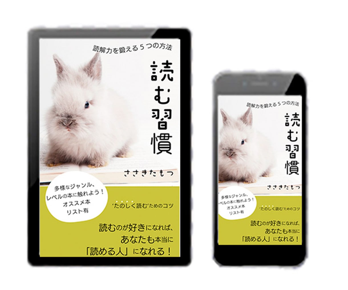 デザイナーが電子書籍の表紙作ります 安い！丁寧！安心！お気軽にお問合せ下さい☆彡 イメージ3