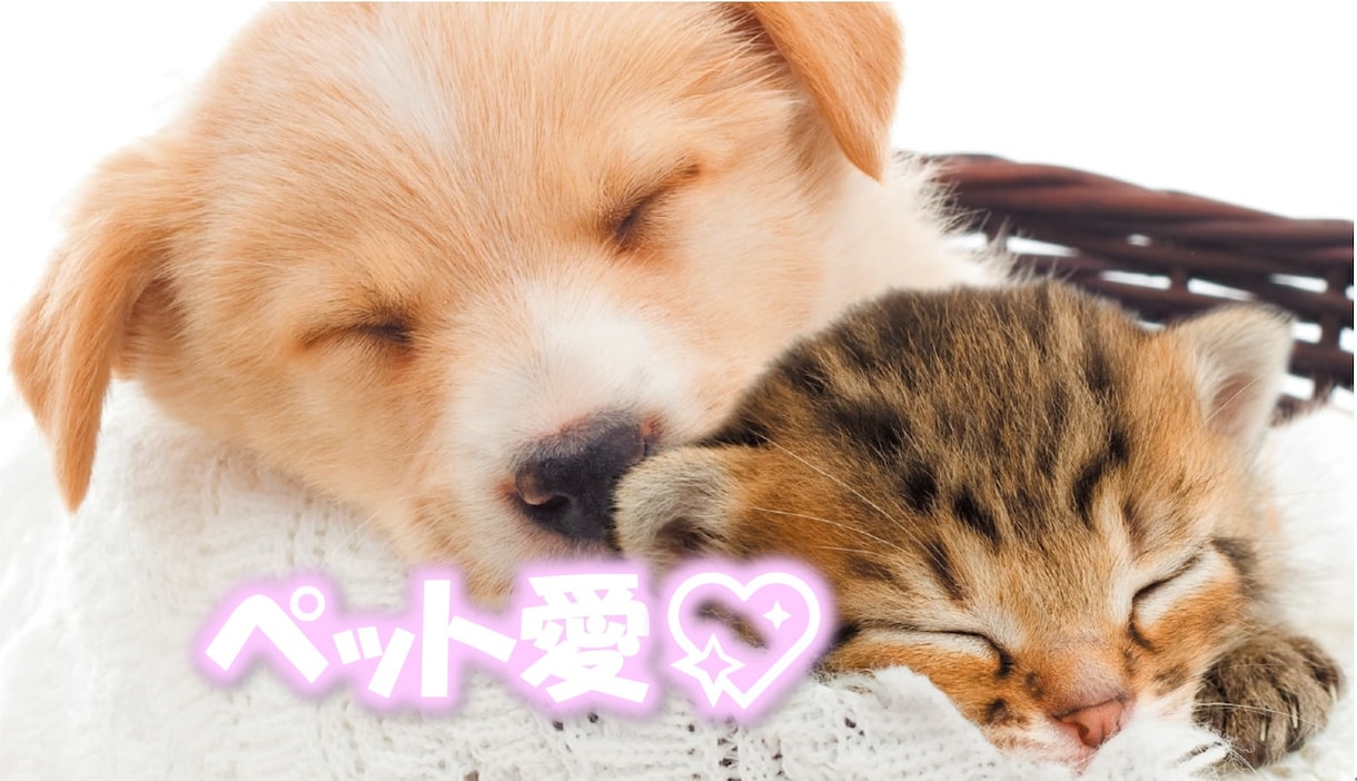 ペットや動物、生き物の気持ち、悩み、ご相談承ります 【大好評です！】御依頼者様のご納得、ご満足度非常にご好評です イメージ1