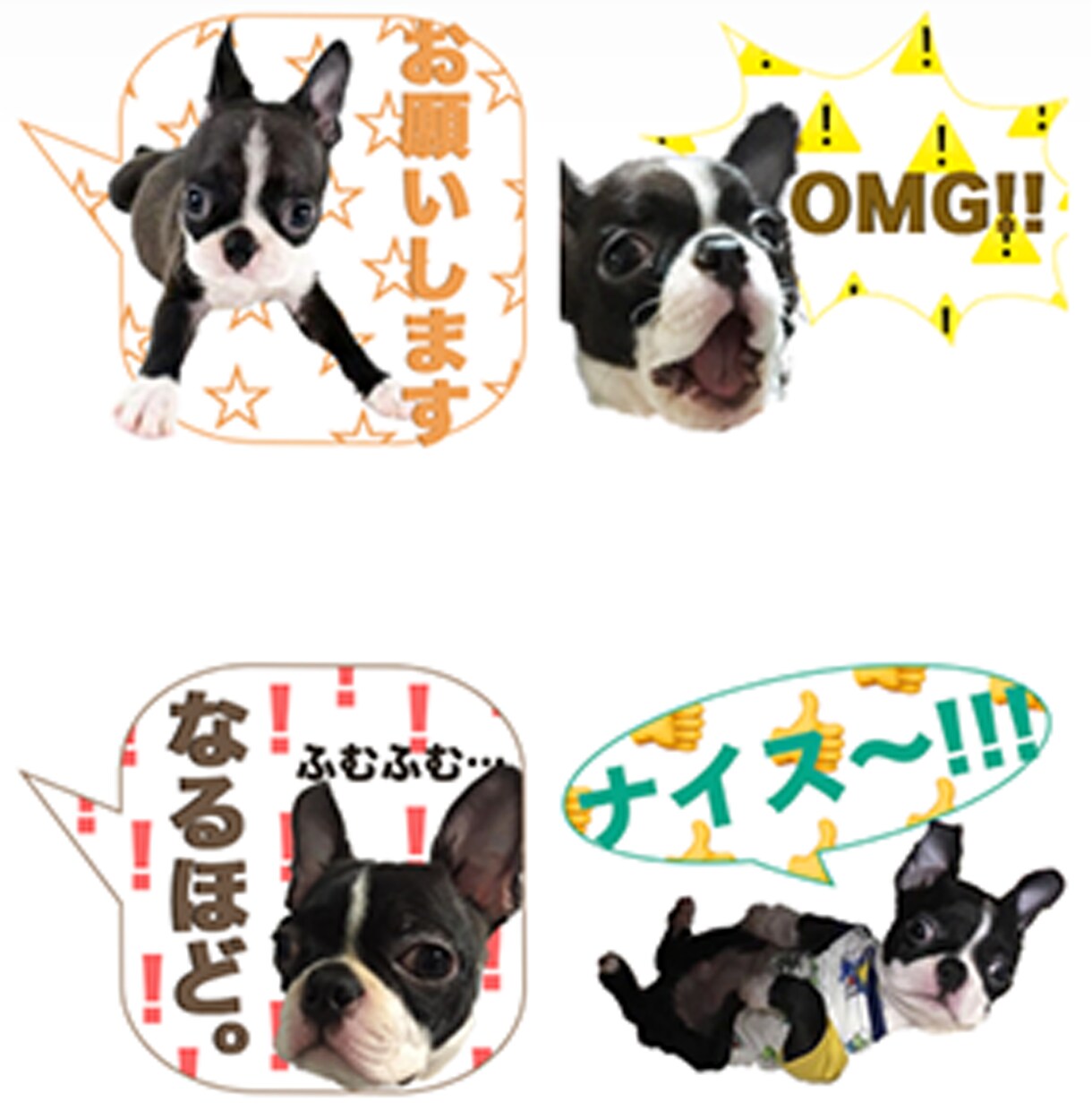 ペットやお子様のLINEスタンプをお作りします 【2000円〜】世界にたった一つのあなただけのスタンプ イメージ2