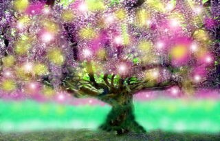 主にタロット占いをします 恋愛、仕事、人間関係、願望成就等。何でも気軽にご相談下さい イメージ1