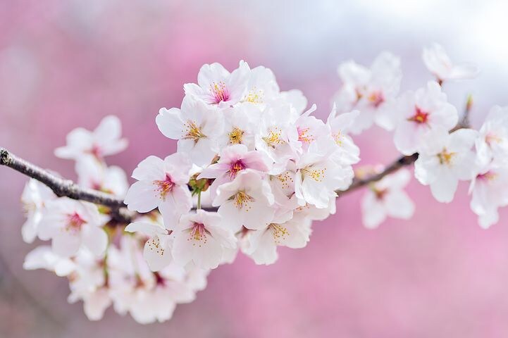 介護福祉士の効率の良い勉強法お教えします 段取りで、勝負あり。計画の立て方を中心にお伝えします。 イメージ1