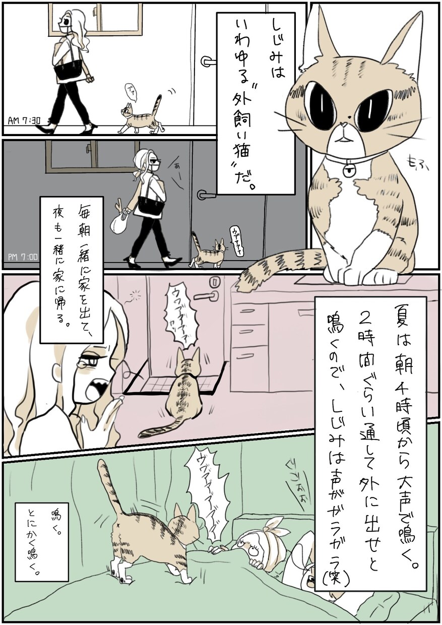 ゆるい漫画描きます 日々の出来事や頭の中で考えていること、ゆるーく漫画にします イメージ5