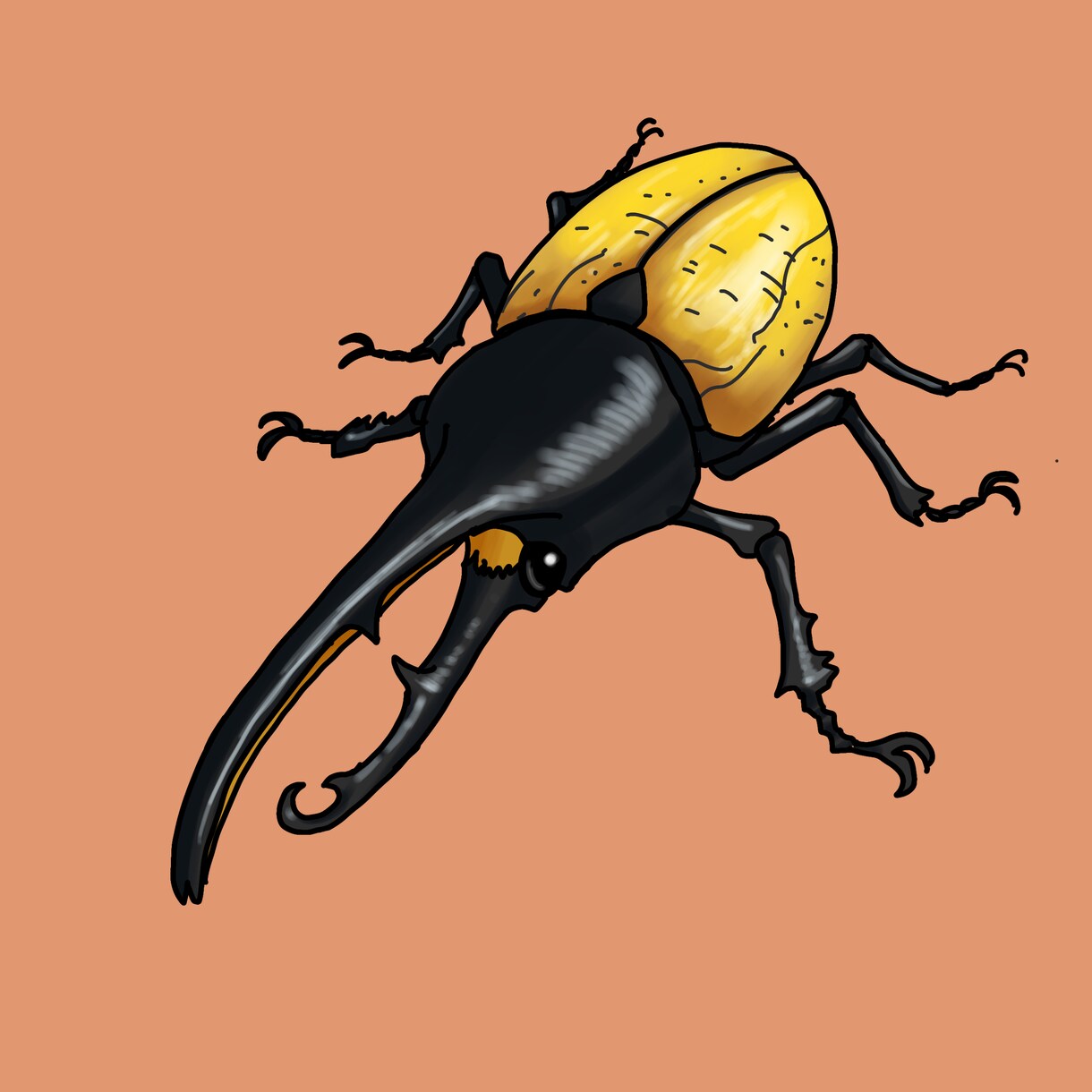 SNSアイコン用昆虫イラスト制作します あなたのお好きな虫、描きます！ イメージ1
