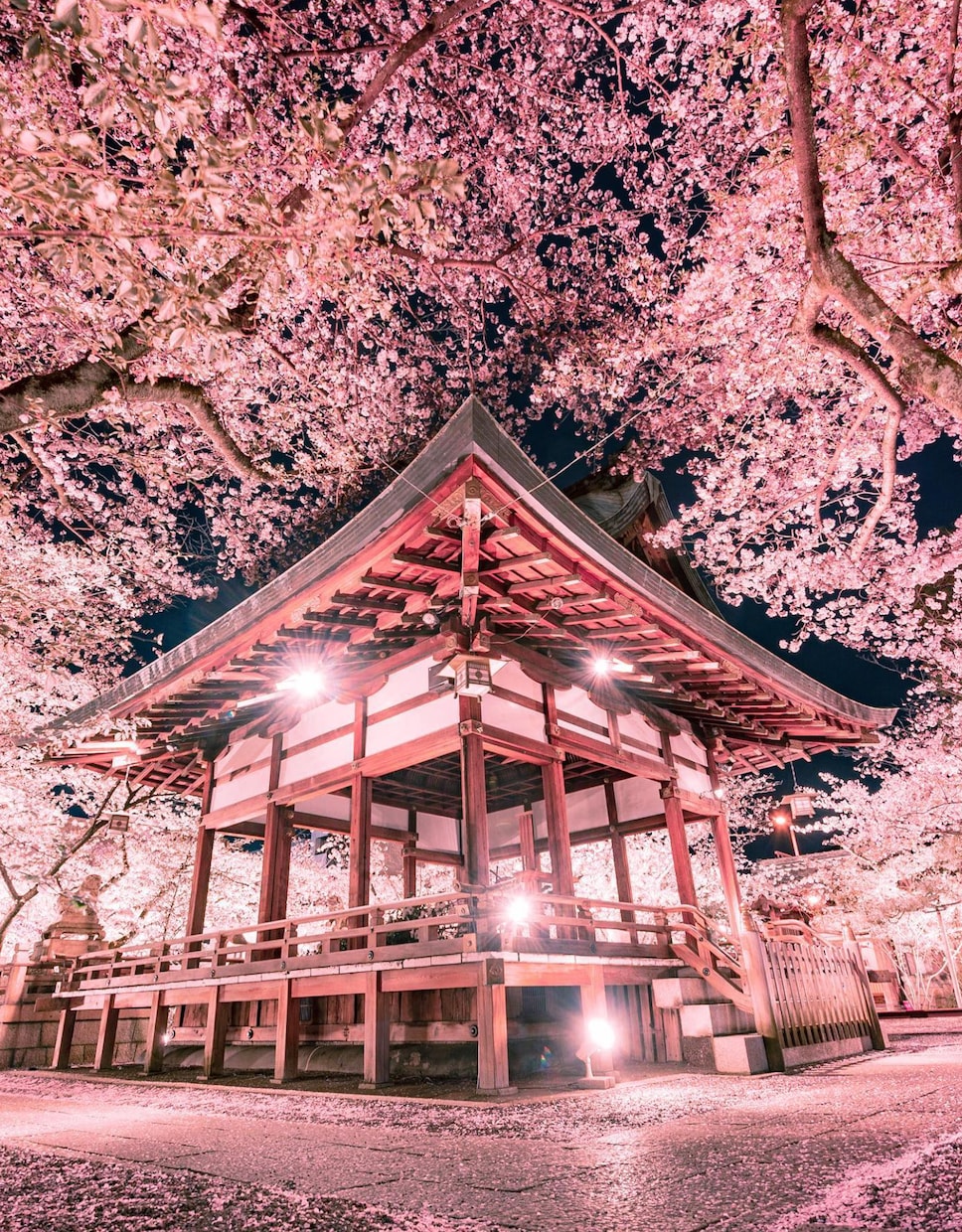 お急ぎの方おすすめ花嫁の手紙、スピーチ代筆致します 最短、ご依頼当日から作成可能！ゼロから原稿を作成致します。 イメージ1