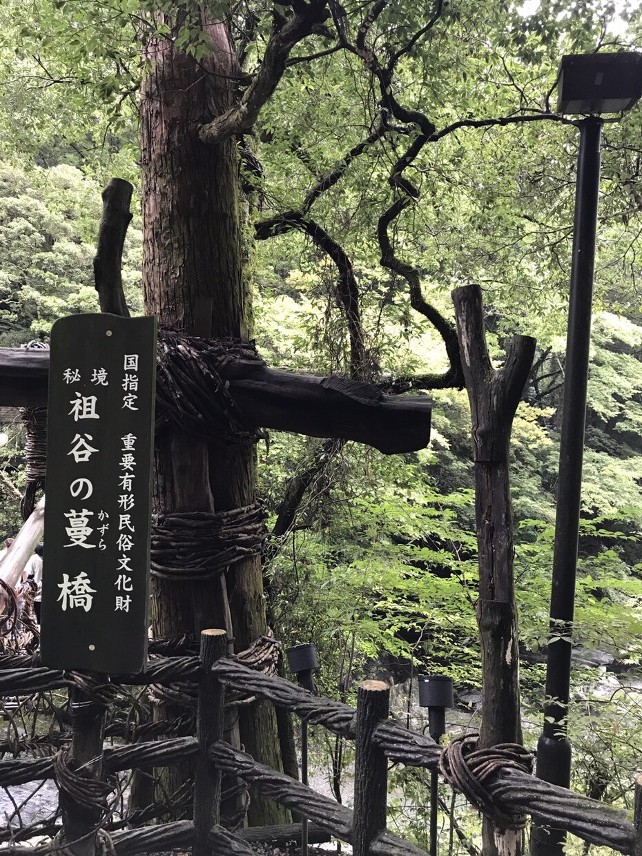 旅行の日程、計画、国内旅行ならなんでもいたします 1人旅が好きな方、夫婦で旅行予定の方など計画致します！ イメージ2