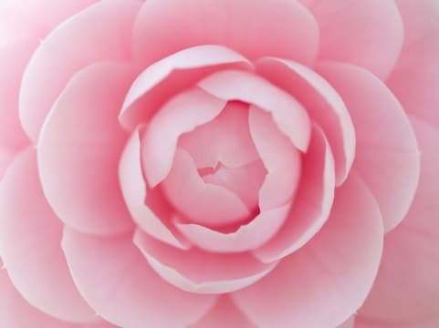 大丈夫だよ！あなたのがんばりを応援します。でも、ダメな時は、しっかり叱ります。 イメージ1